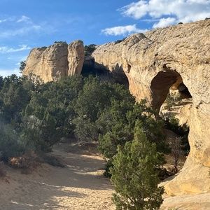 Meet your Posher, Whitney